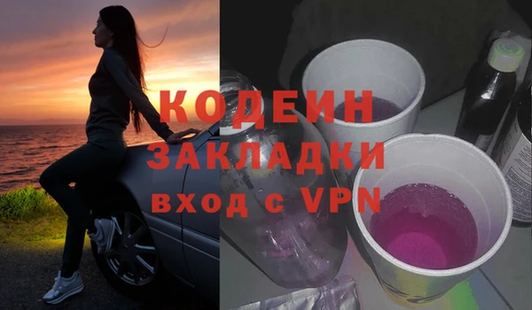 прущие грибы Гусь-Хрустальный
