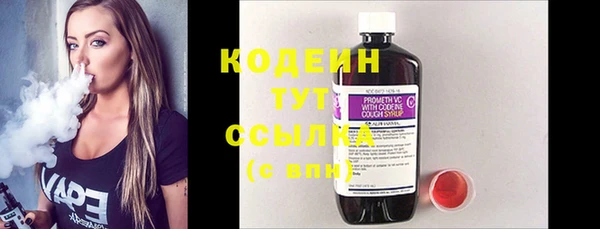 прущие грибы Гусь-Хрустальный