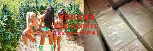 mdpv Горно-Алтайск