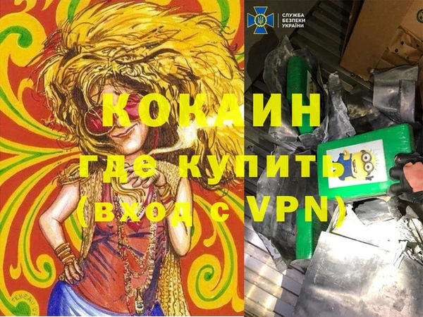 прущие грибы Гусь-Хрустальный
