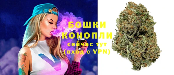 прущие грибы Гусь-Хрустальный