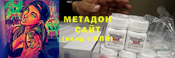 прущие грибы Гусь-Хрустальный