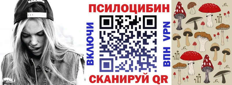 Псилоцибиновые грибы мицелий  Купить  Чегем 